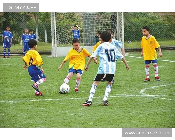 西汉姆联足球俱乐部历史回顾与发展现状分析